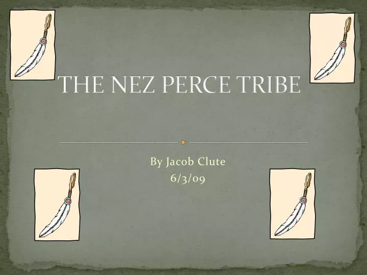 the nez perce tribe