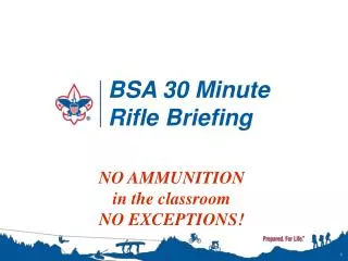 BSA 30 Minute Rifle Briefing