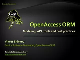 OpenAccess ORM