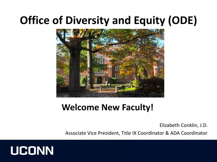 office of diversity and equity ode