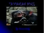 TASMANIAN DEVIL - slide 1