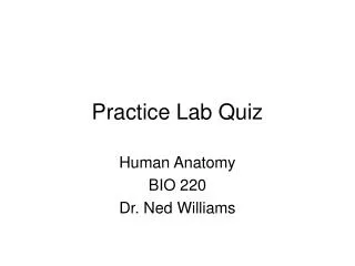 Practice Lab Quiz