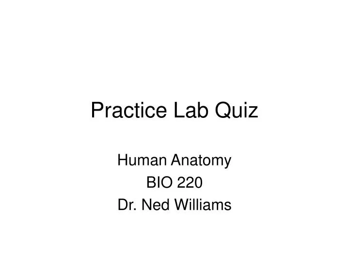 practice lab quiz