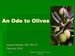 An Ode to Olives