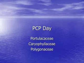 PCP Day