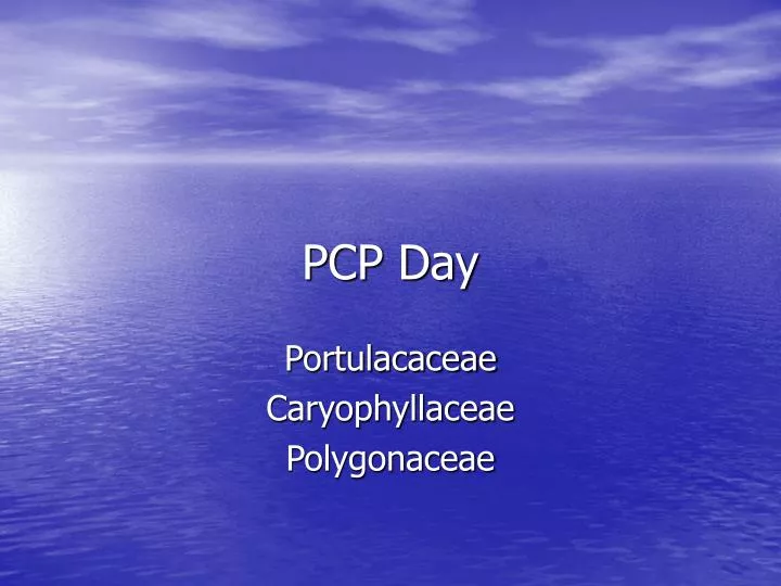 pcp day
