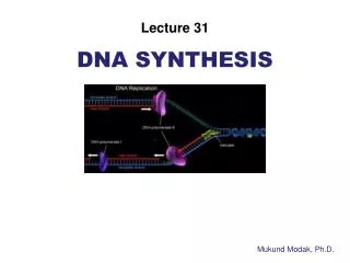 DNA Synthesis