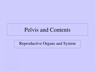 Pelvis and Contents