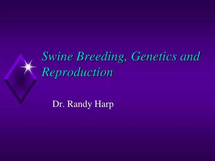 swine breeding genetics and reproduction