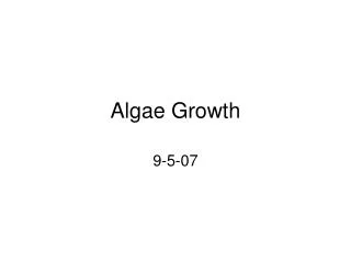 Algae Growth