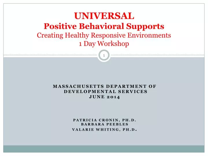universal positive behavioral supports creating healthy responsive environments 1 day workshop