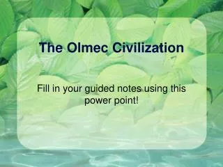 The Olmec Civilization