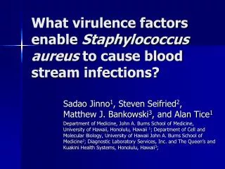 What virulence factors enable Staphylococcus aureus to cause blood stream infections?