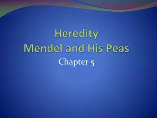 Heredity Mendel and His Peas