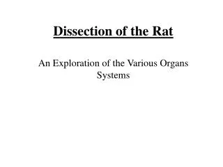 Dissection of the Rat