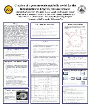 Results and Conclusions