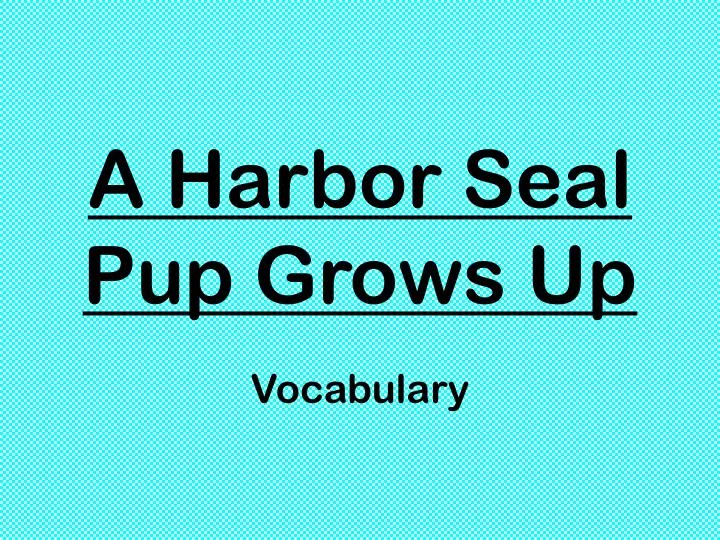 a harbor seal pup grows up