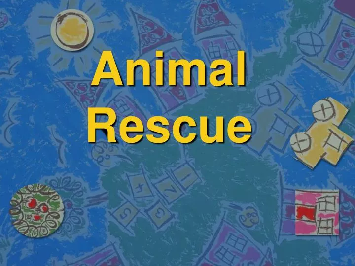 animal rescue