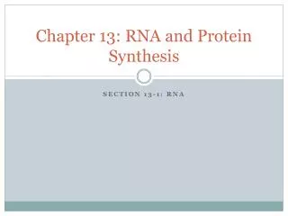 Chapter 13: RNA and Protein Synthesis