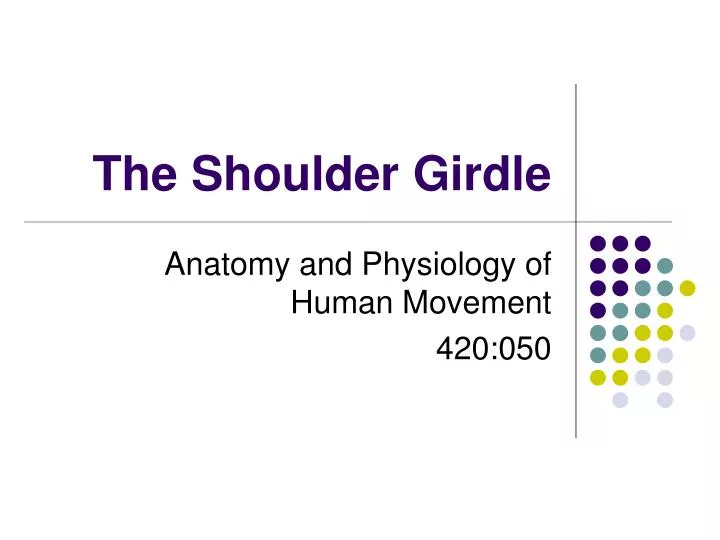 the shoulder girdle