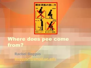 Where does pee come from?