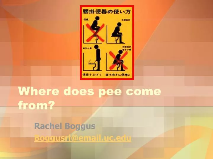 where does pee come from