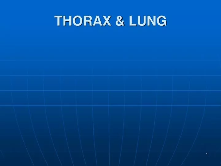 thorax lung