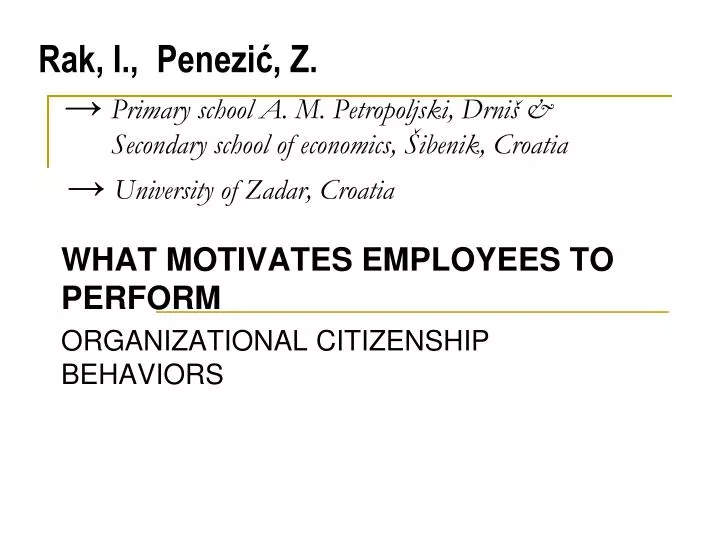 what motivates employees to perform organizational citizenship behaviors