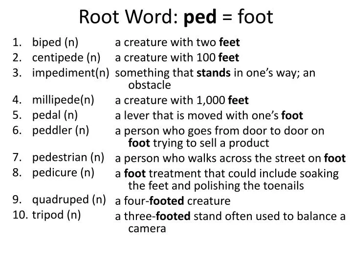 root word ped foot
