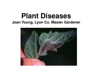 Plant Diseases Joan Young, Lyon Co. Master Gardener
