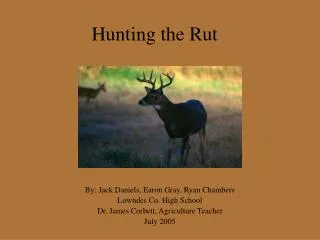 Hunting the Rut