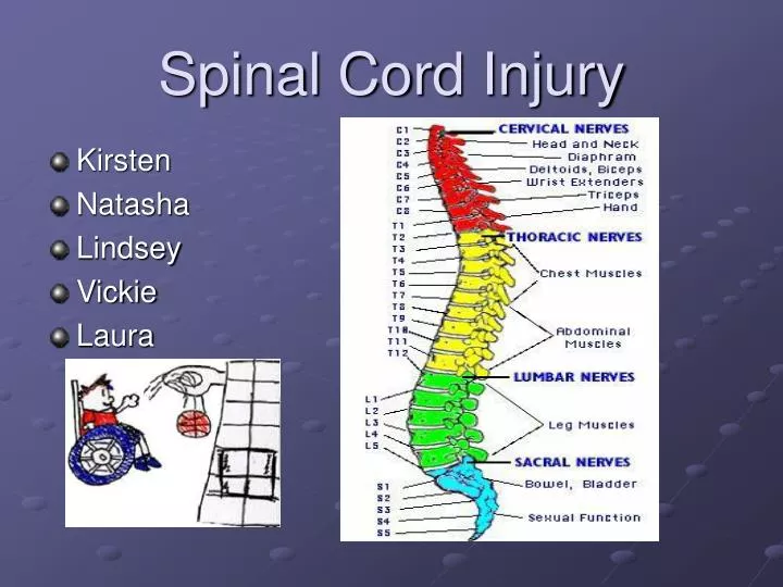 spinal cord injury