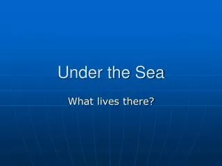 under the sea