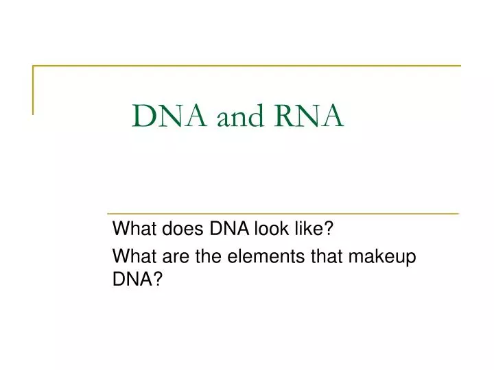 dna and rna