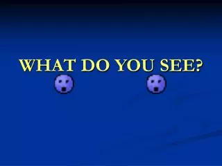 what do you see