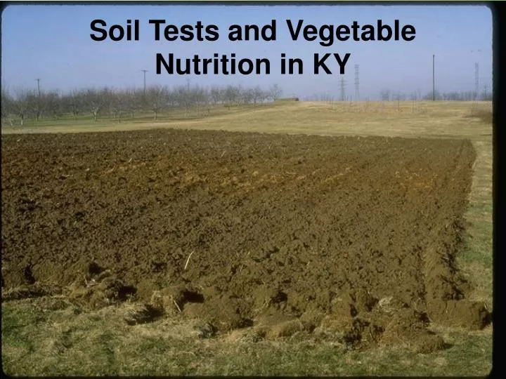 soil tests and vegetable nutrition in ky