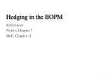 Hedging in the BOPM
