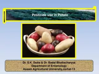 Pesticide use in Potato