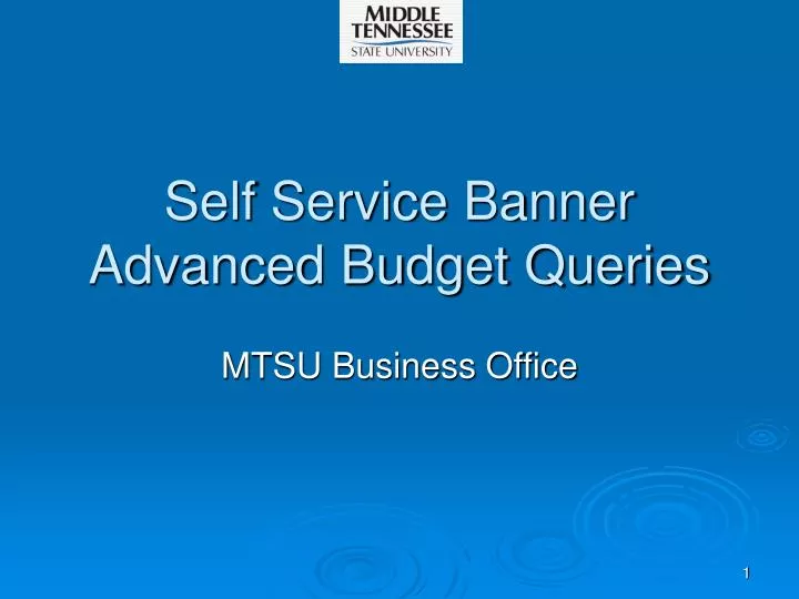 self service banner advanced budget queries