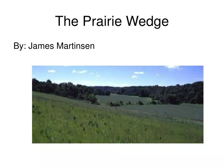 the prairie wedge