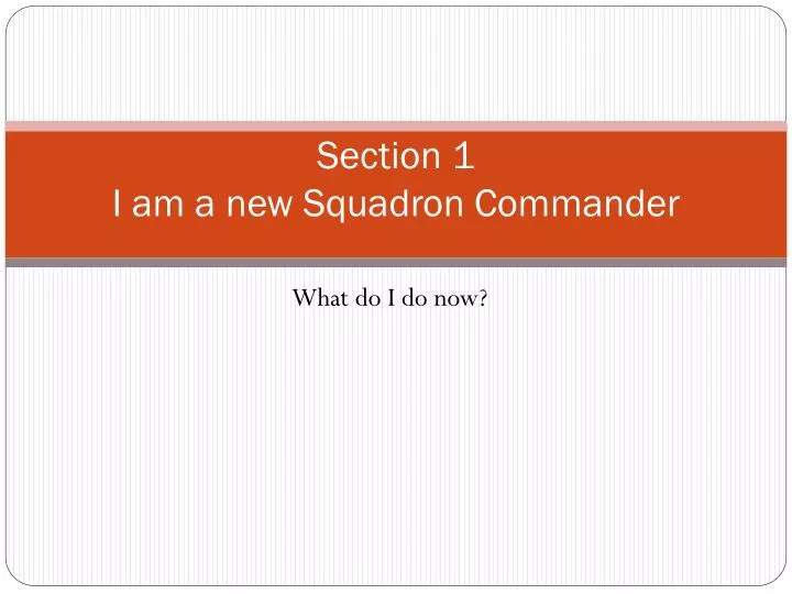 section 1 i am a new squadron commander