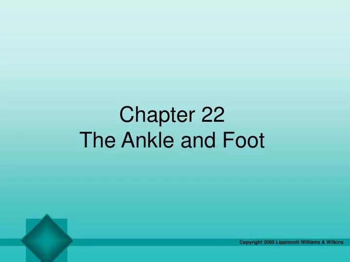 chapter 22 the ankle and foot