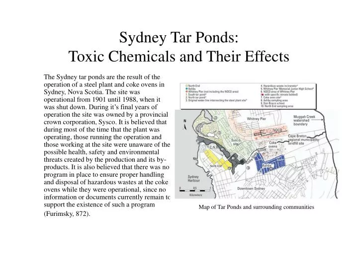 sydney tar ponds toxic chemicals and their effects