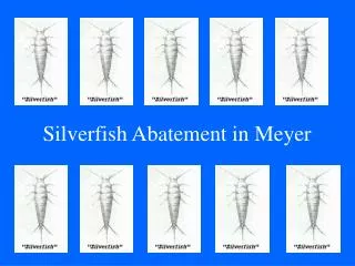 Silverfish Abatement in Meyer
