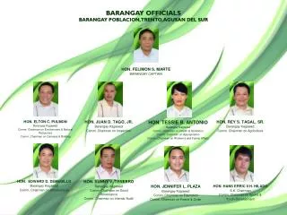 BARANGAY OFFICIALS BARANGAY POBLACION, TRENTO, AGUSAN DEL SUR