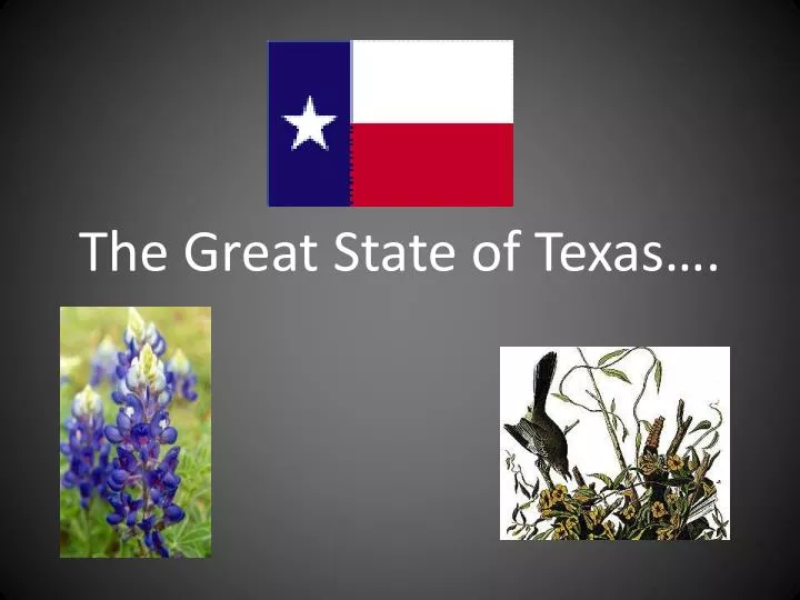 the great state of texas
