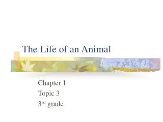 The Life of an Animal