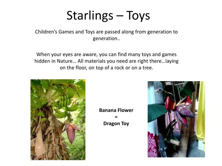 starlings toys