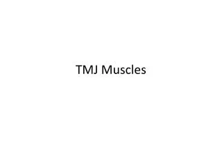 TMJ Muscles