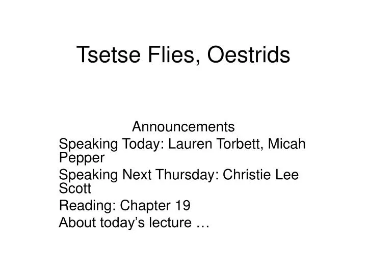 tsetse flies oestrids